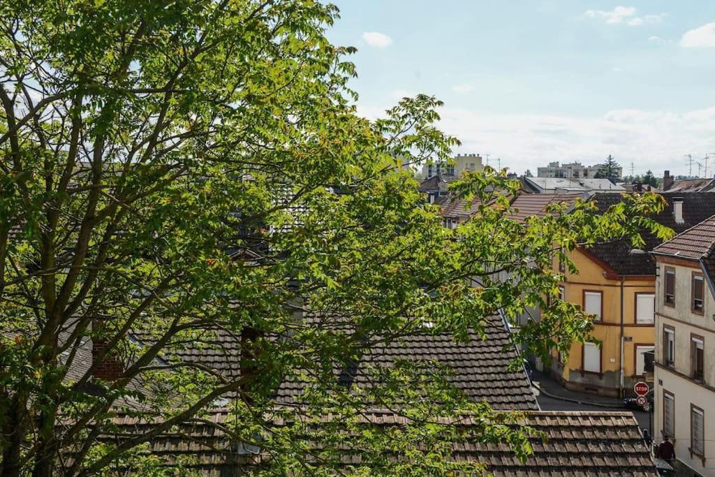 Appartement Charmant Tres Proche Centre-Ville, Parking Gratuits, Mulhouse Centre Dış mekan fotoğraf